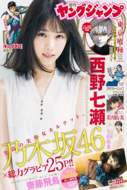 白洁高义小说