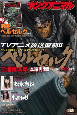 将军在上 电视剧