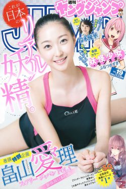 襄阳秘史